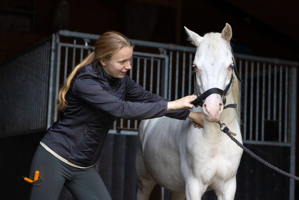 Aanbod behandeltraject en gedragstraining