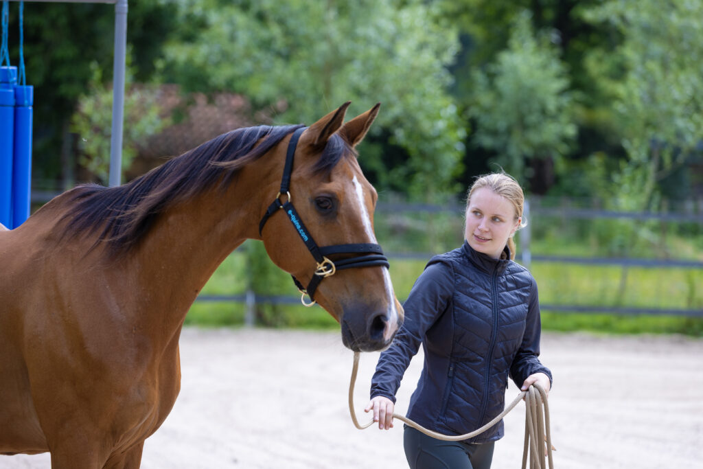 Uitdagend gedrag paard