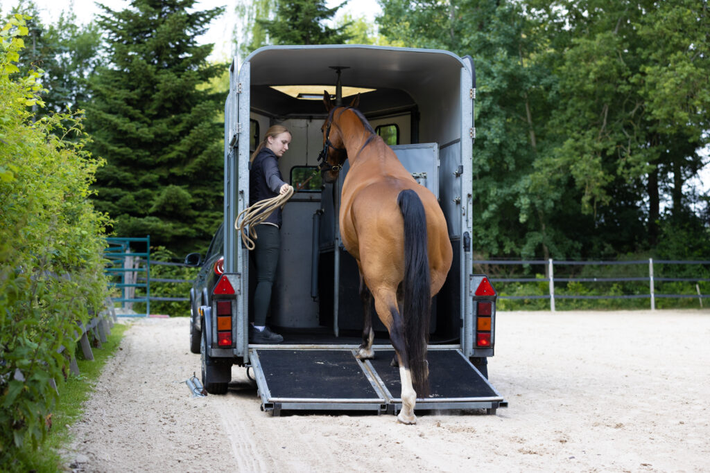 Trailerladen paard
