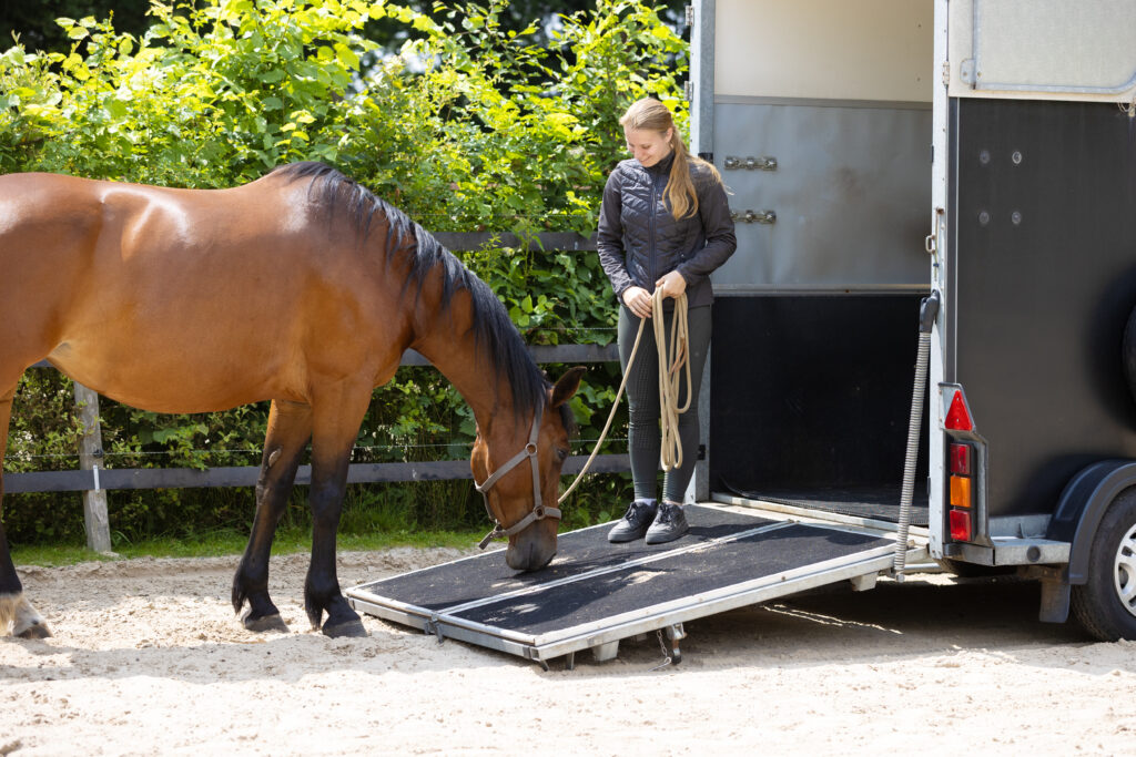 Trailerladen paard