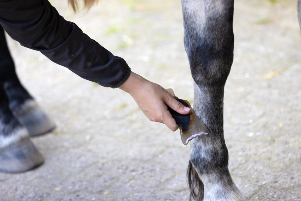 Guasha voor paarden