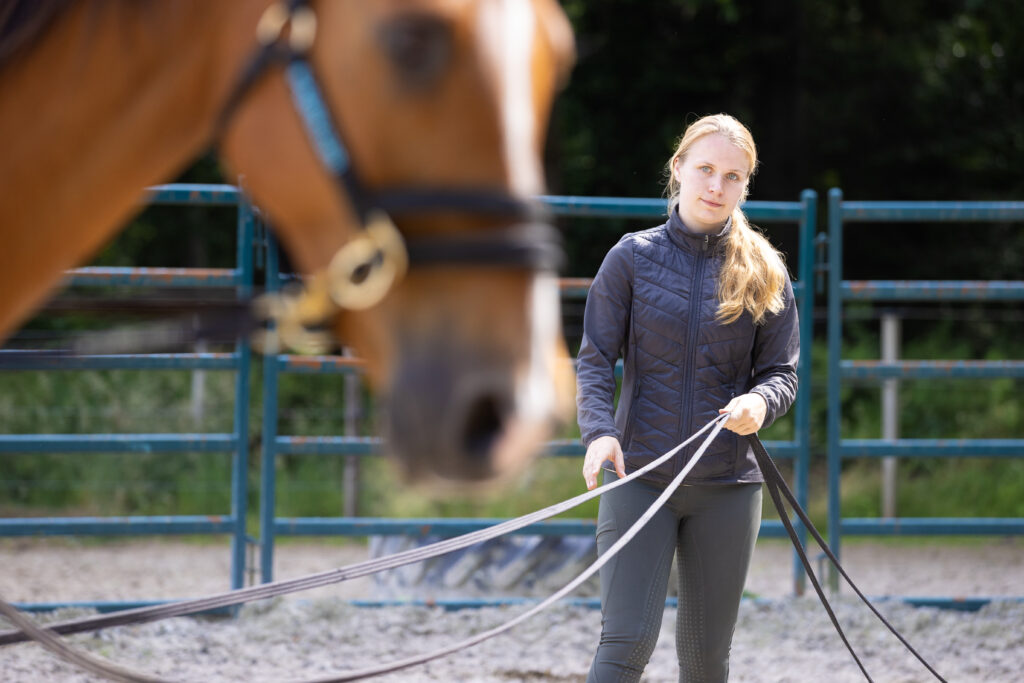 Basisvaardigheden paard