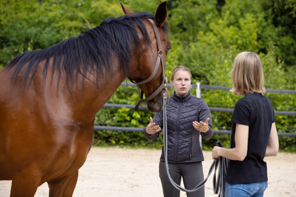 Algemene voorwaarden horse body & mind